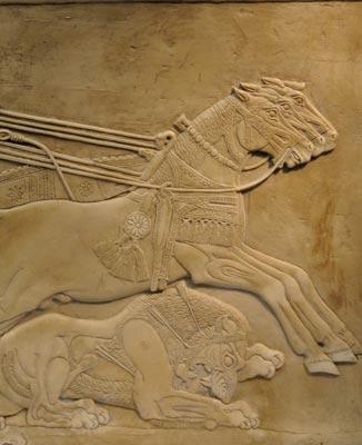 Ashurnasirpal Ii Assyrian King 883 Bc Ashurnasirpal Ii Assyrian King