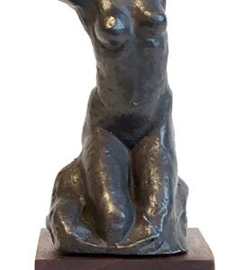 Toilette De Venue - Rodin